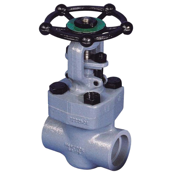 Forged Steel Globe Valve Screwed End